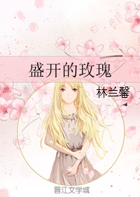盛开的玫瑰